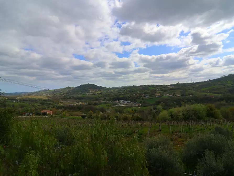 Immagine 10 di Villa in vendita  a Fara Filiorum Petri