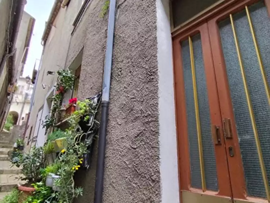 Immagine 3 di Villa in vendita  n . 9 a Palmoli