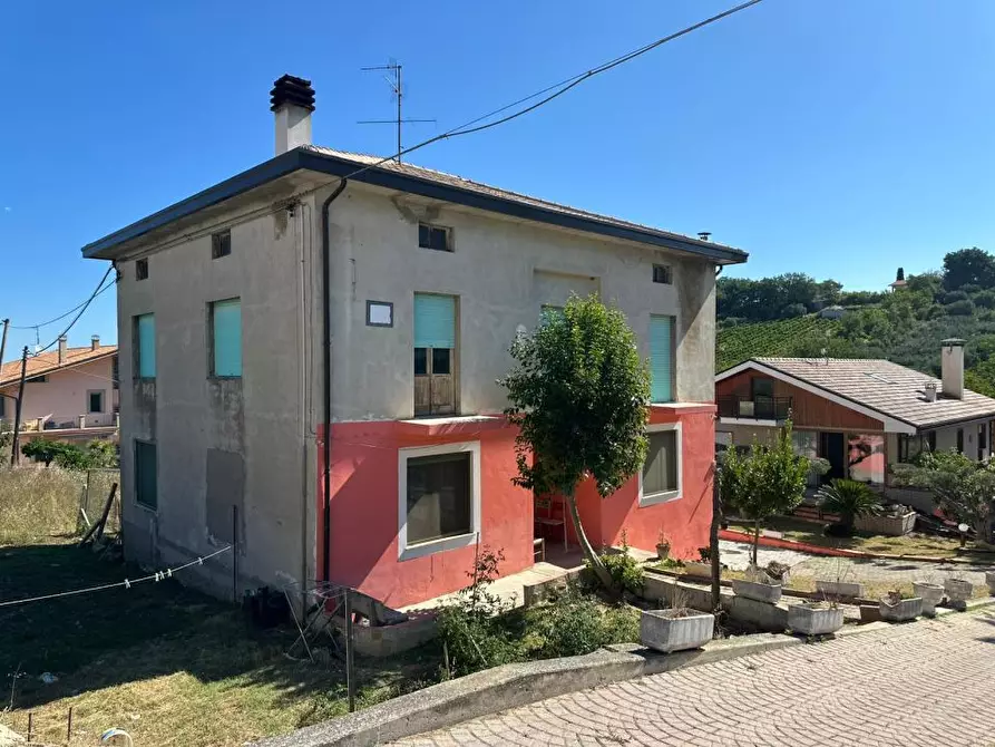 Immagine 5 di Villa in vendita  14 a Castel Frentano