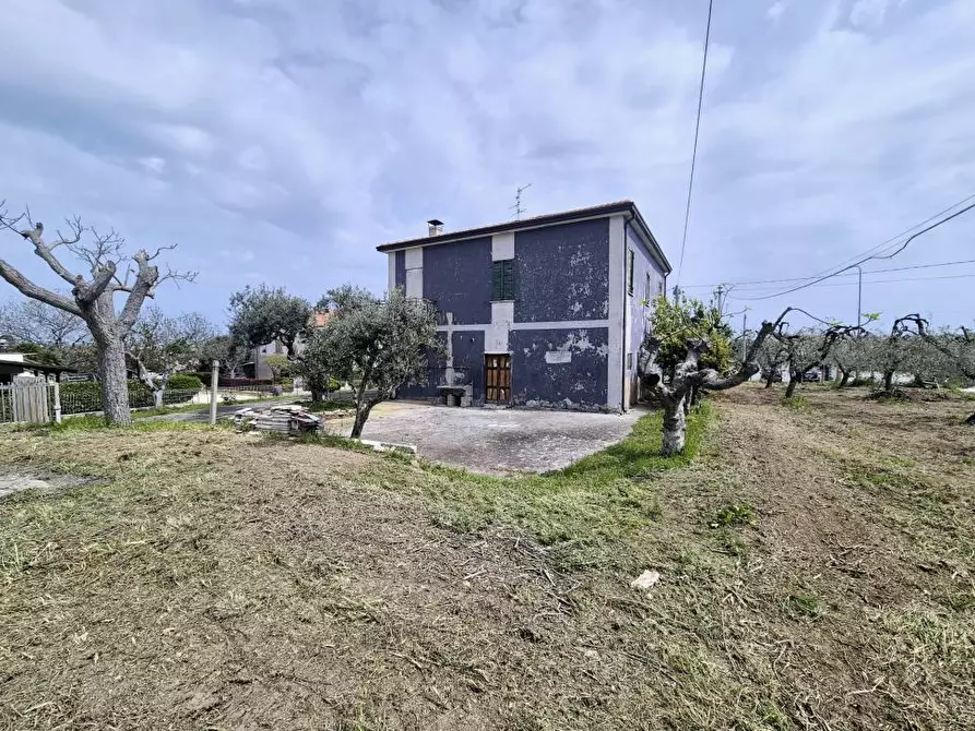 Immagine 6 di Villa in vendita  50 a Torrevecchia Teatina