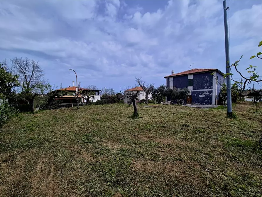 Immagine 4 di Villa in vendita  50 a Torrevecchia Teatina