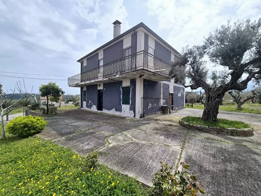 Immagine 9 di Villa in vendita  50 a Torrevecchia Teatina