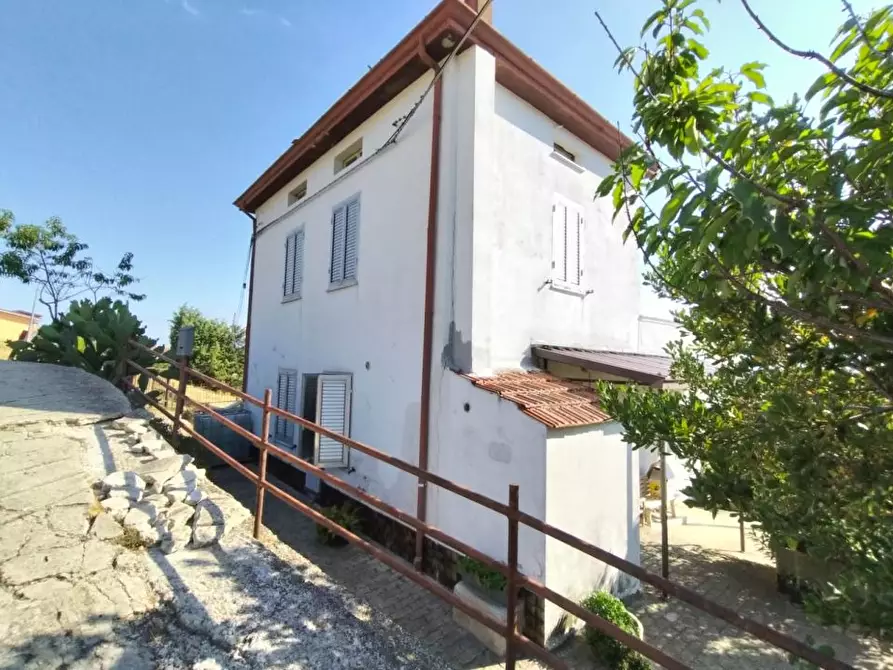 Immagine 4 di Villa in vendita  14 a Castel Frentano
