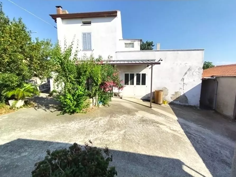 Immagine 2 di Villa in vendita  14 a Castel Frentano