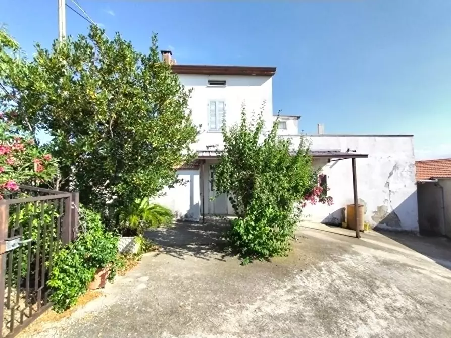 Immagine 5 di Villa in vendita  14 a Castel Frentano