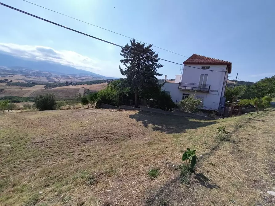 Immagine 7 di Villa in vendita  14 a Castel Frentano