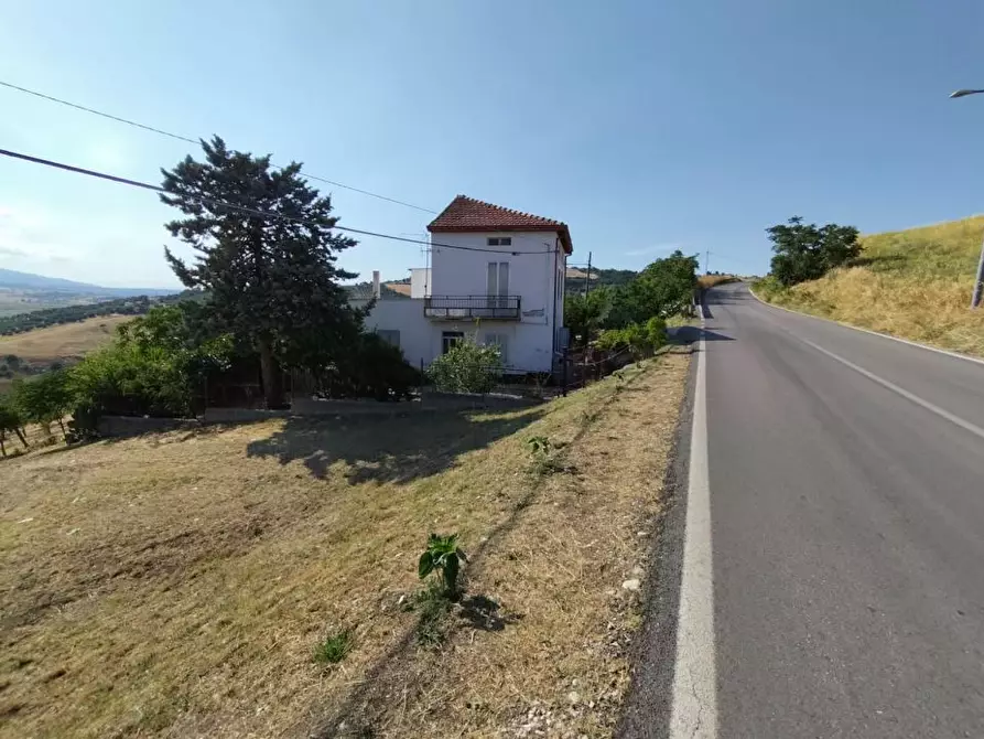 Immagine 6 di Villa in vendita  14 a Castel Frentano