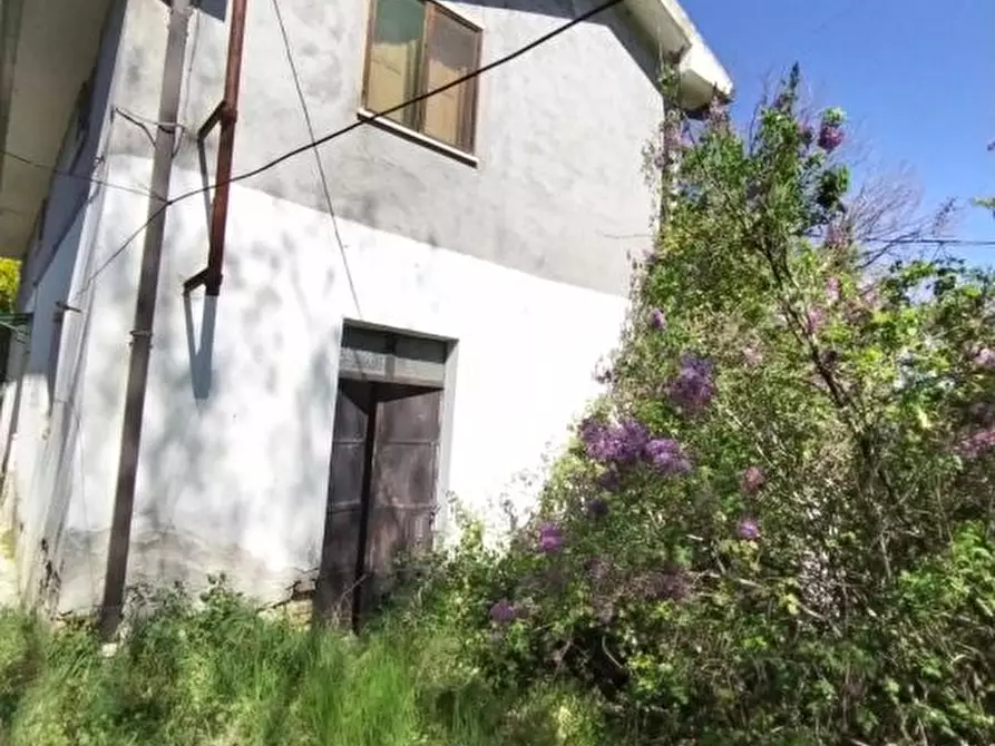 Immagine 3 di Villa in vendita  122 a Casoli