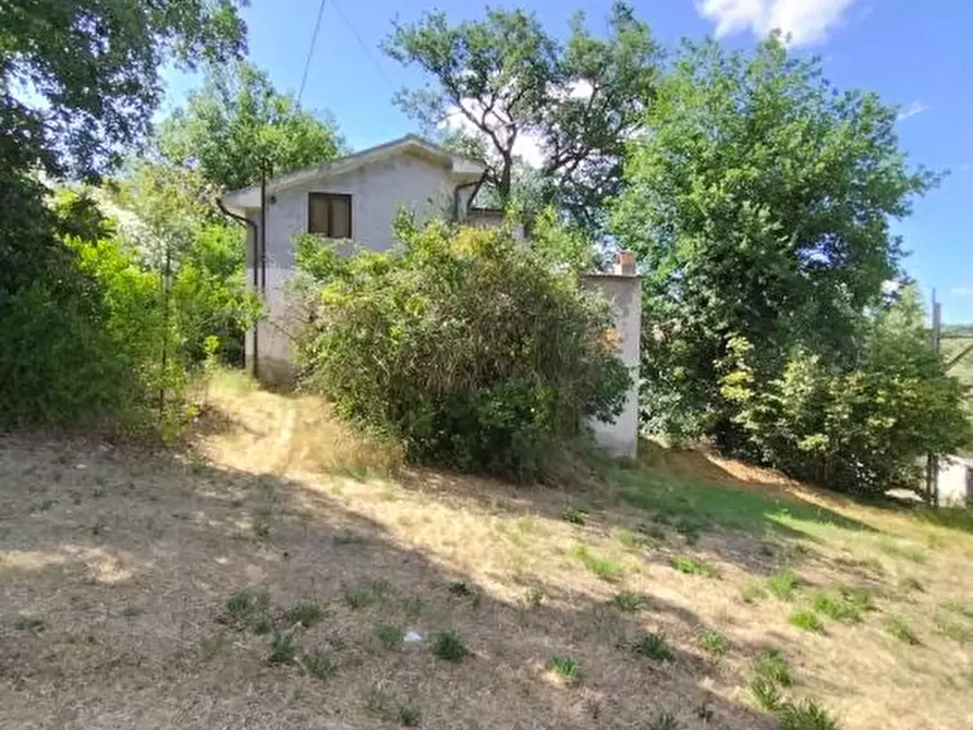 Immagine 2 di Villa in vendita  122 a Casoli