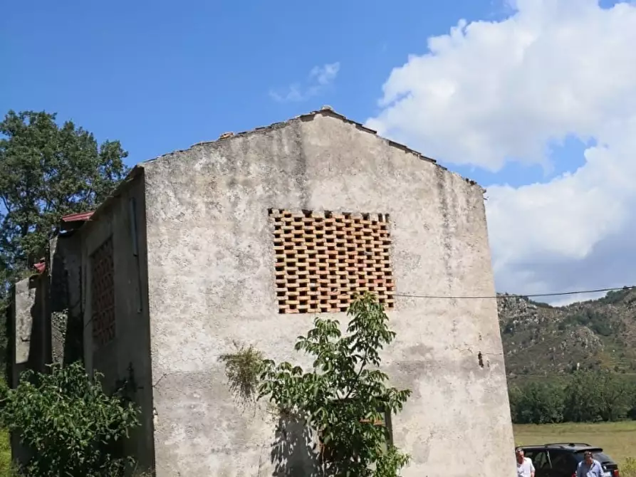 Immagine 4 di Rustico / casale in vendita  7 a Altilia