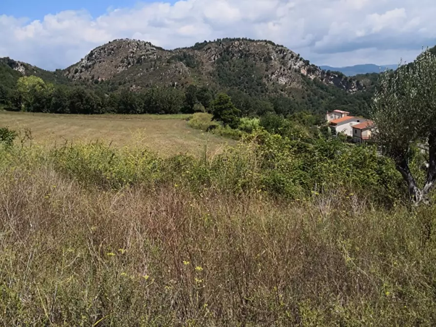 Immagine 9 di Rustico / casale in vendita  7 a Altilia