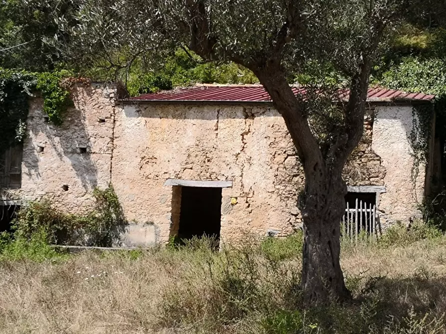 Immagine 2 di Rustico / casale in vendita  7 a Altilia