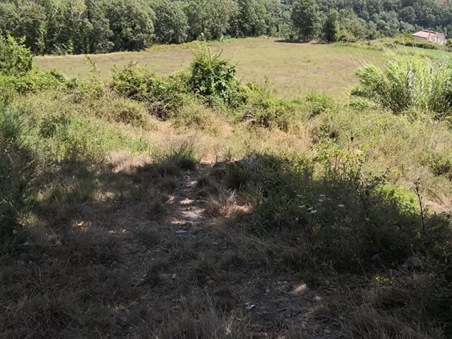 Immagine 6 di Rustico / casale in vendita  7 a Altilia