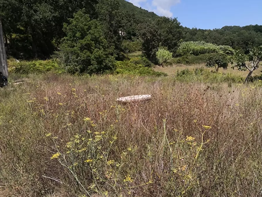 Immagine 7 di Rustico / casale in vendita  7 a Altilia