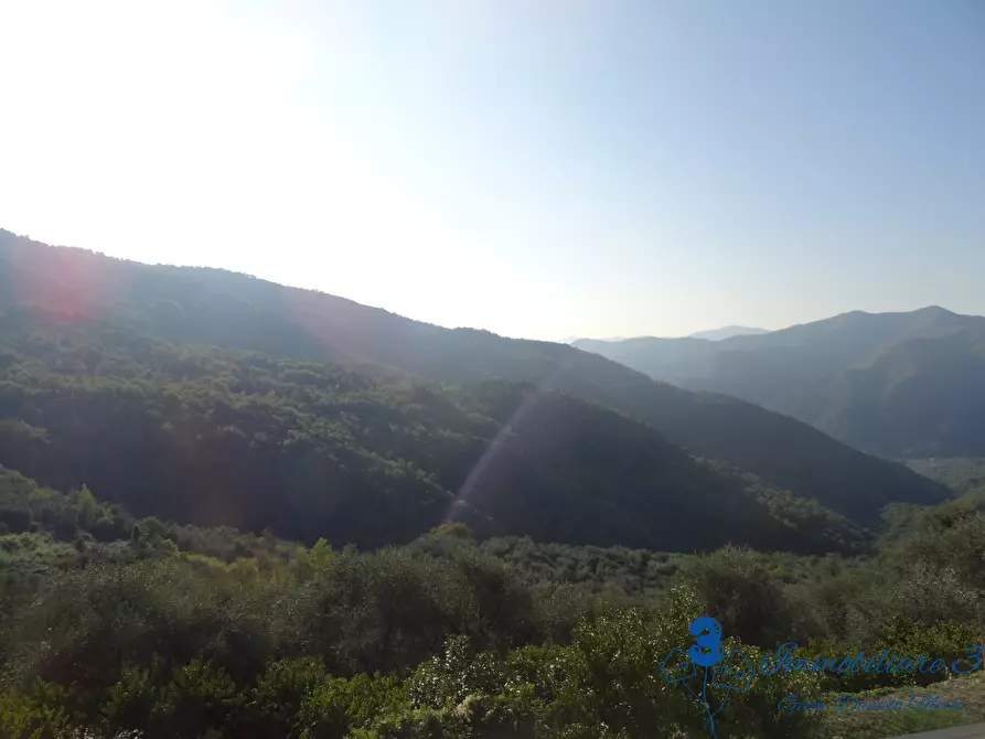 Immagine 8 di Casa indipendente in vendita  a Aquila D'arroscia