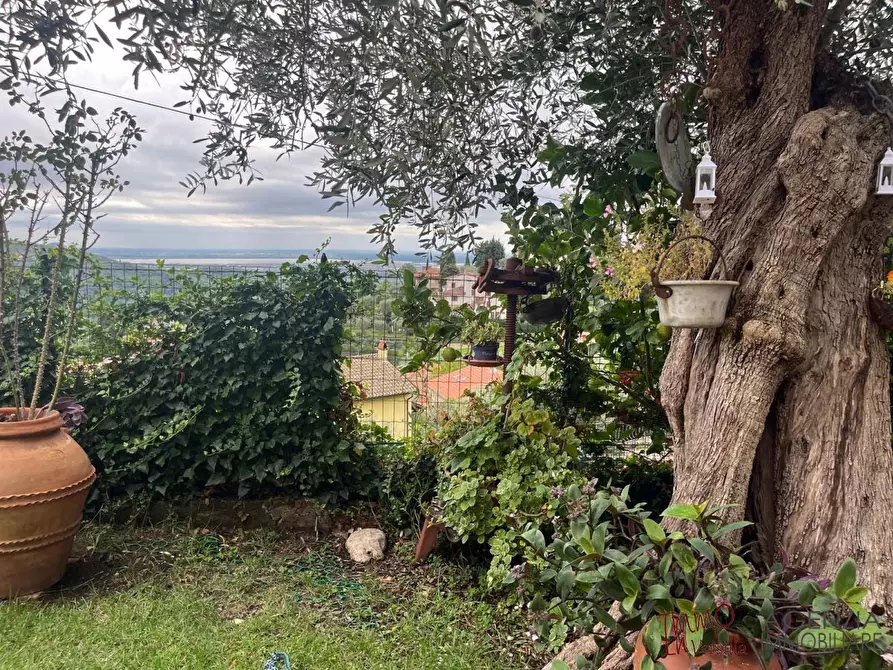 Immagine 3 di Villa in vendita  a Massarosa