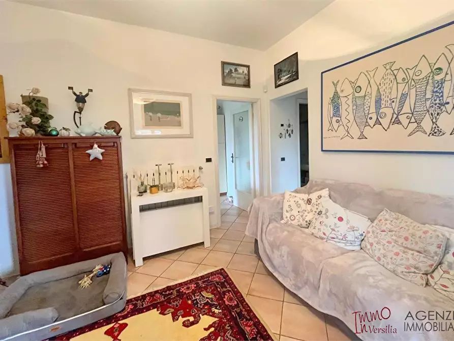 Immagine 3 di Villa in vendita  a Pietrasanta
