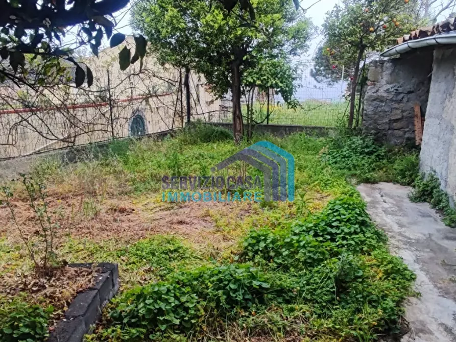 Immagine 2 di Casa indipendente in vendita  a Gallodoro