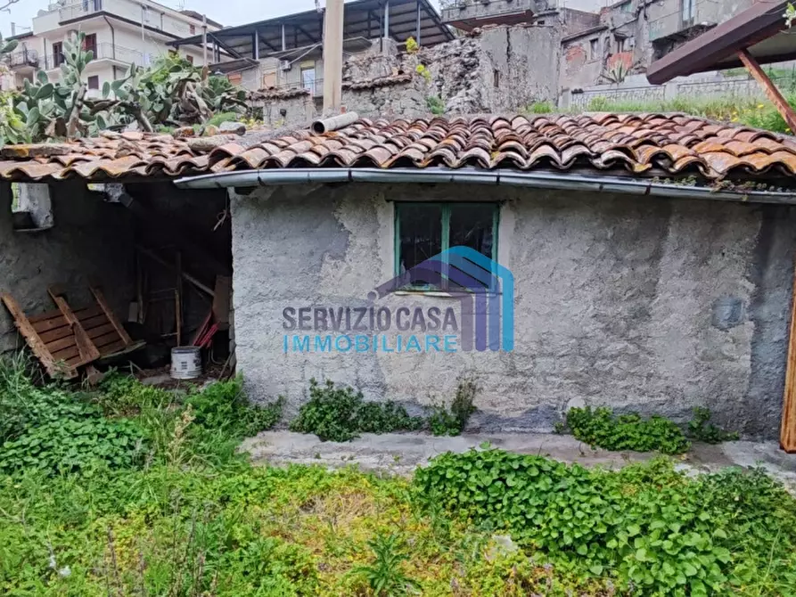 Immagine 3 di Casa indipendente in vendita  a Gallodoro