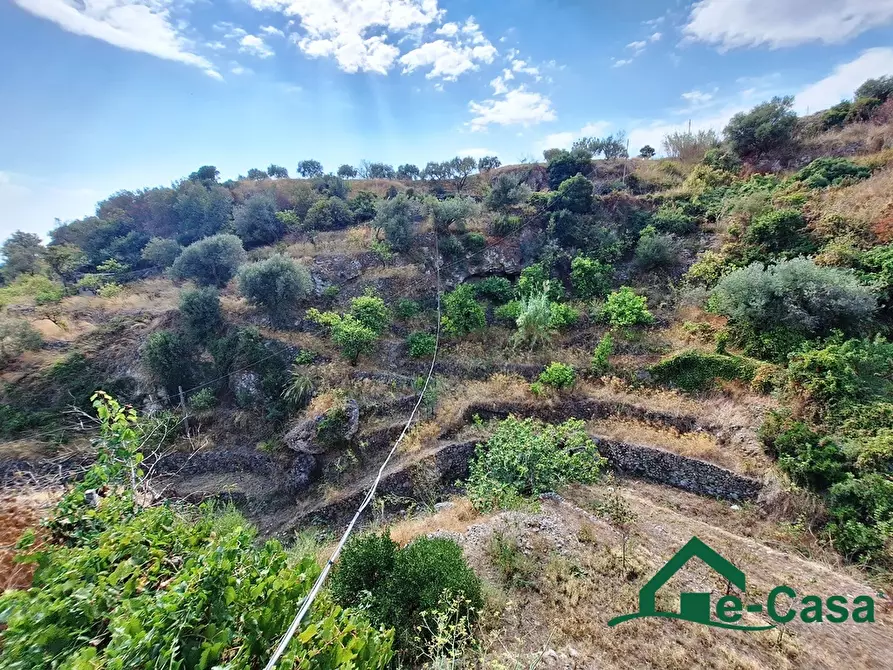 Immagine 5 di Villa in vendita  SNC a Messina