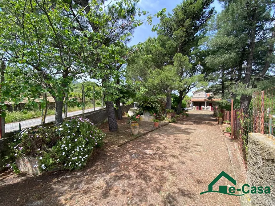 Immagine 2 di Villa in vendita  SNC a Santa Lucia Del Mela