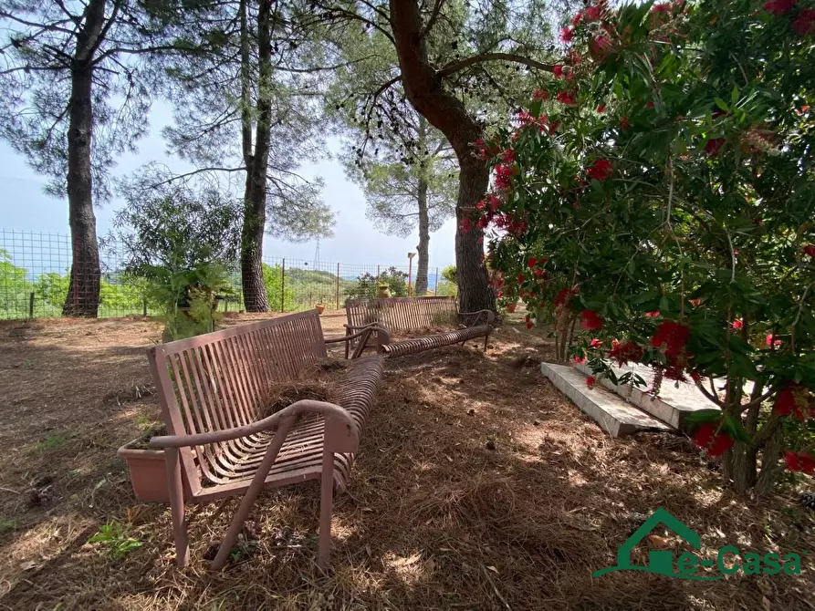 Immagine 7 di Villa in vendita  SNC a Santa Lucia Del Mela