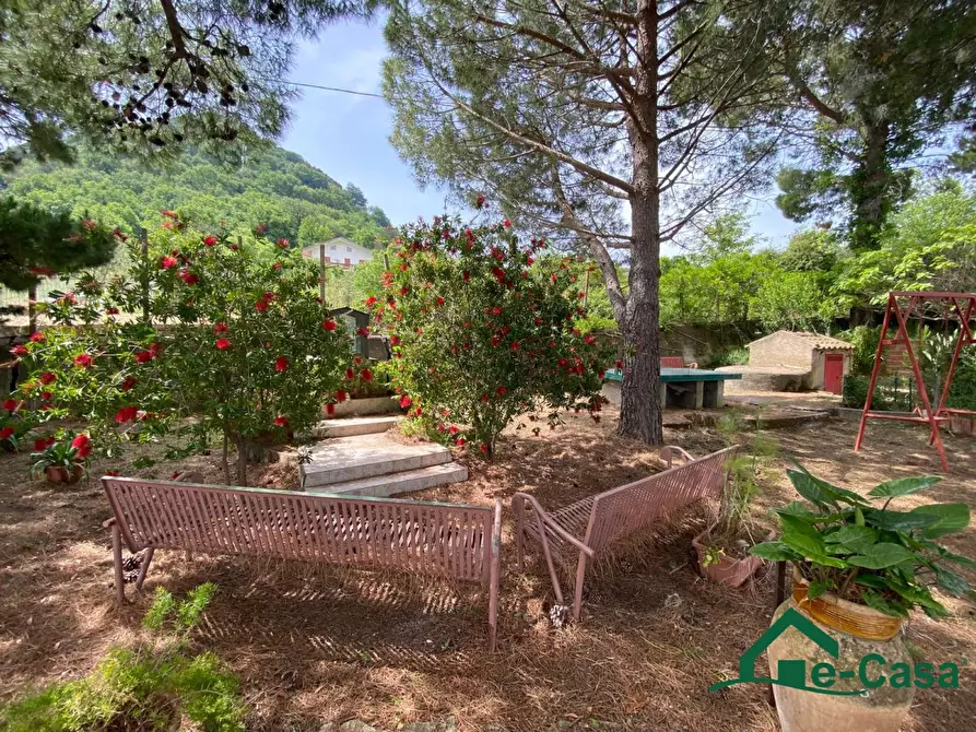 Immagine 4 di Villa in vendita  SNC a Santa Lucia Del Mela