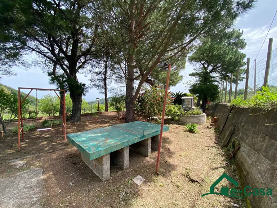 Immagine 5 di Villa in vendita  SNC a Santa Lucia Del Mela