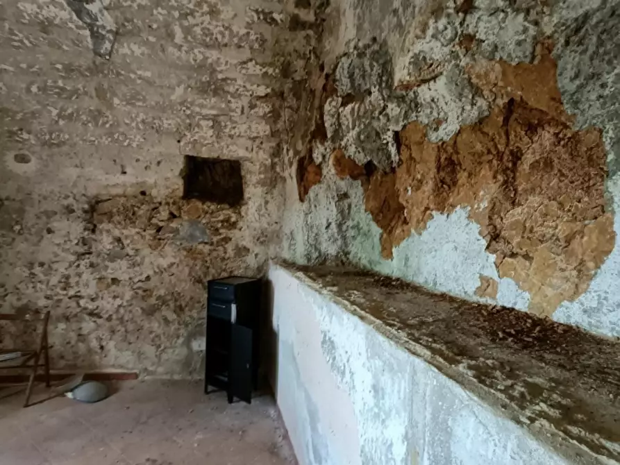 Immagine 9 di Villa in vendita  snc a Carini