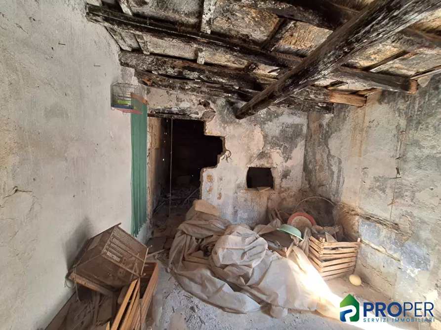 Immagine 9 di Villa in vendita  a Cinisi