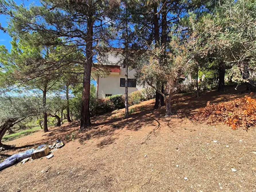 Immagine 7 di Villa in vendita  1 a Cugnoli