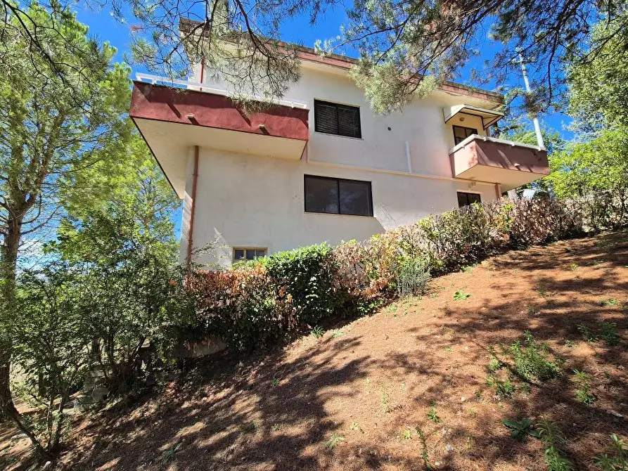 Immagine 5 di Villa in vendita  1 a Cugnoli