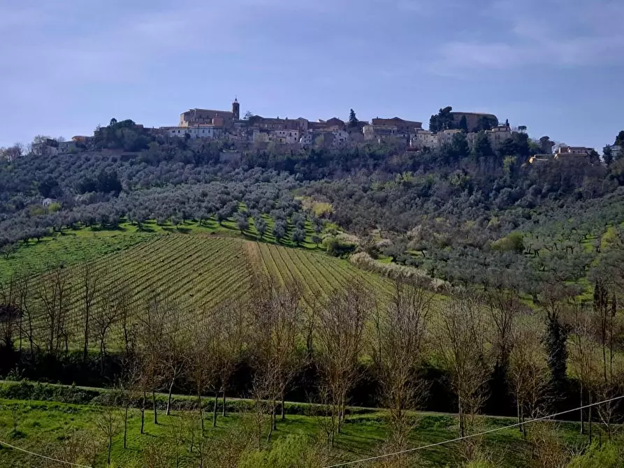 Immagine 7 di Villa in vendita  a Loreto Aprutino