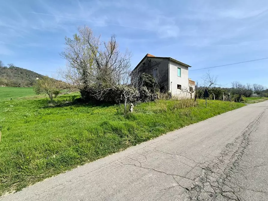 Immagine 3 di Villa in vendita  a Loreto Aprutino