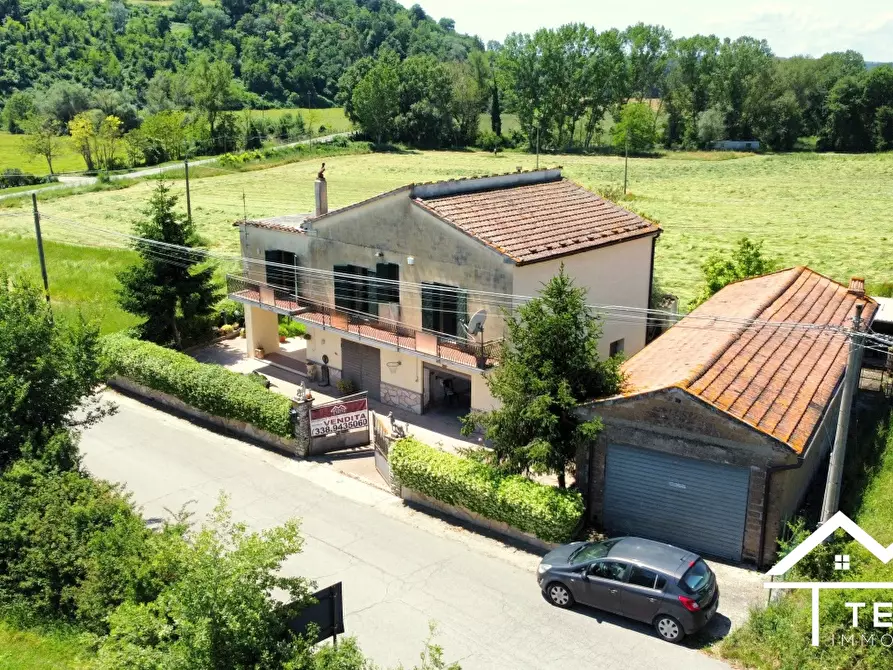 Immagine 1 di Villa in vendita  62 a Collevecchio