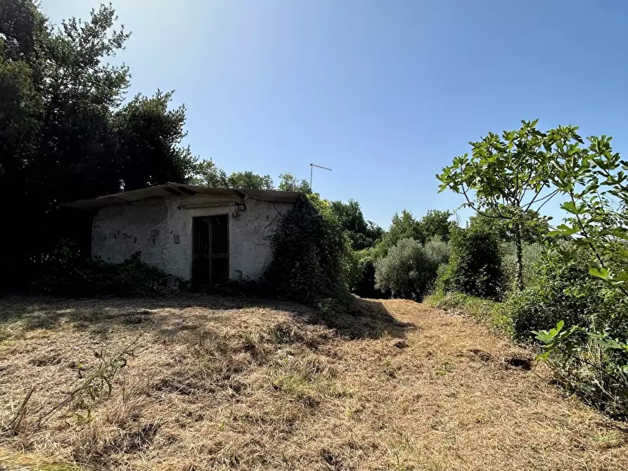 Immagine 1 di Villa in vendita  a Poggio Catino