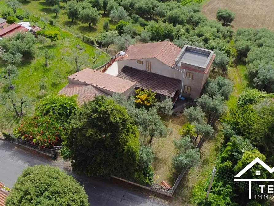 Immagine 2 di Villa in vendita  a Torri In Sabina