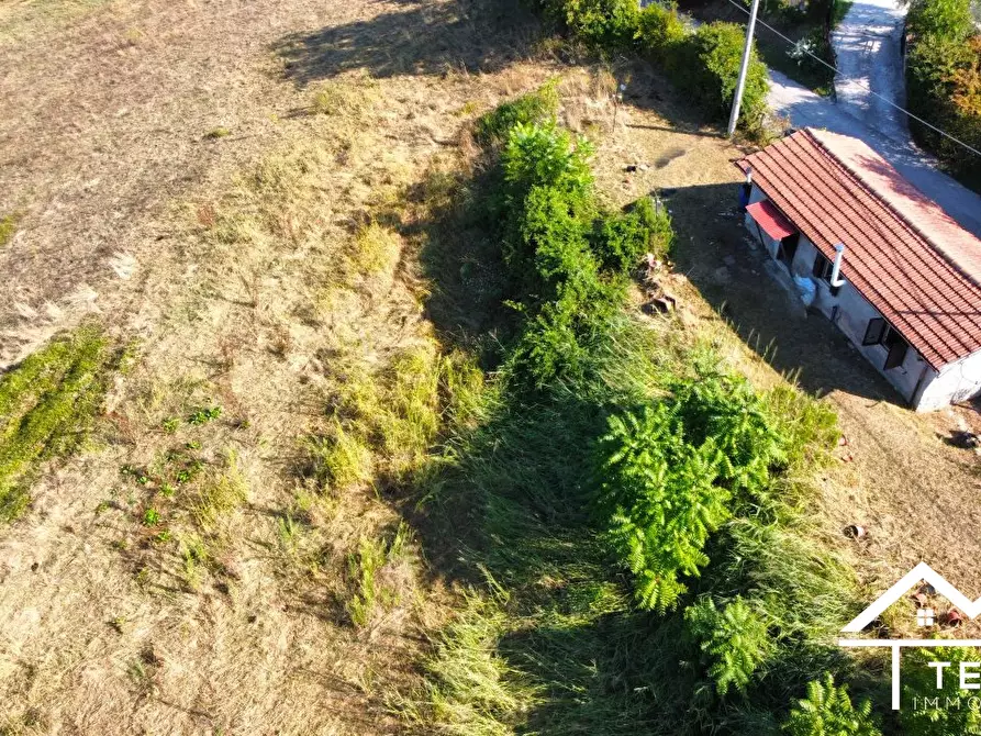 Immagine 1 di Villa in vendita  11 a Forano