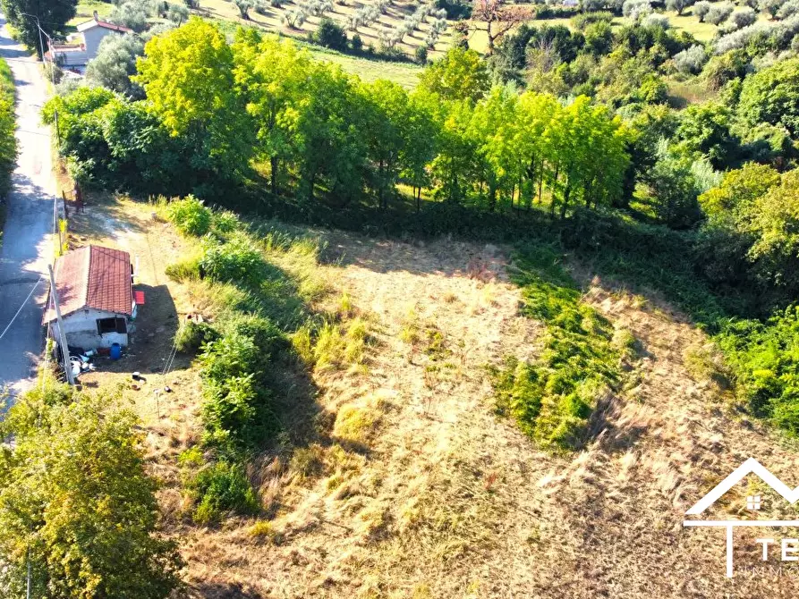 Immagine 3 di Villa in vendita  11 a Forano