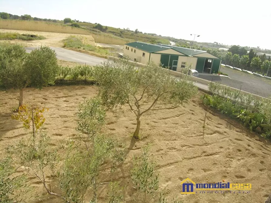 Immagine 9 di Casa indipendente in vendita  a Pachino