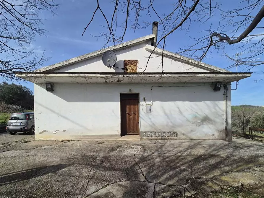 Immagine 3 di Villa in vendita  a Castilenti