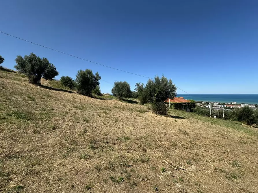Immagine 10 di Villa in vendita  9 a Giulianova