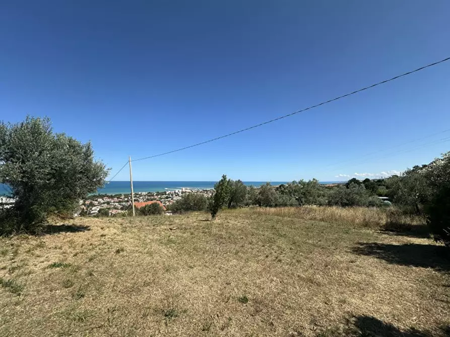 Immagine 9 di Villa in vendita  9 a Giulianova