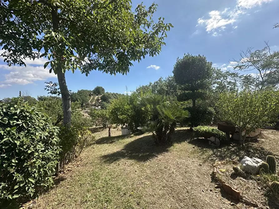 Immagine 5 di Villa in vendita  17 a Campli