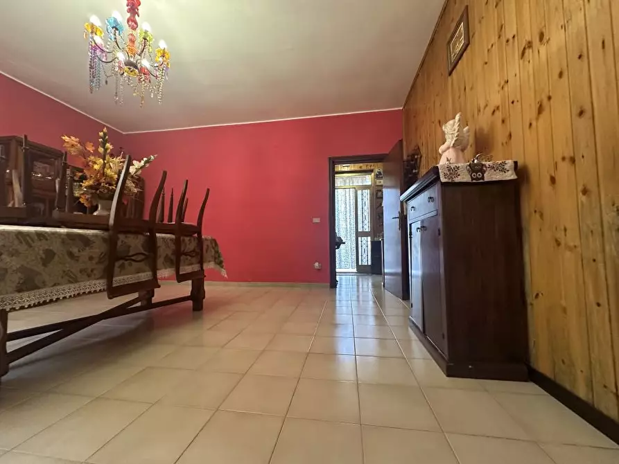 Immagine 5 di Villa in vendita  16 a Morro D'oro