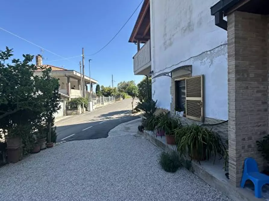 Immagine 10 di Villa in vendita  16 a Morro D'oro