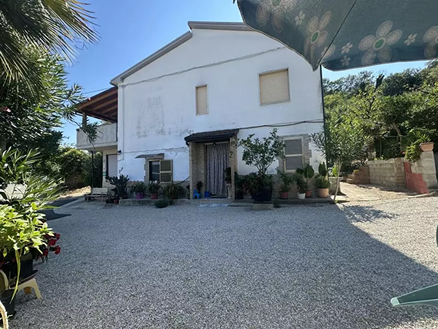 Immagine 1 di Villa in vendita  16 a Morro D'oro