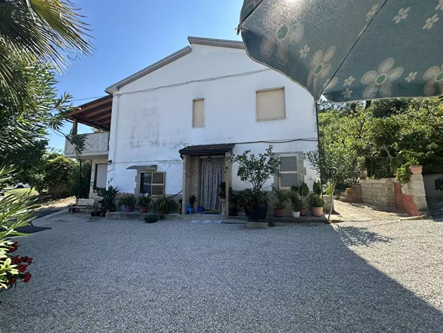 Immagine 2 di Villa in vendita  16 a Morro D'oro