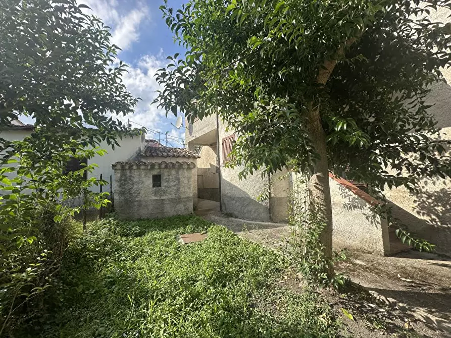 Immagine 1 di Villa in vendita  a Campli