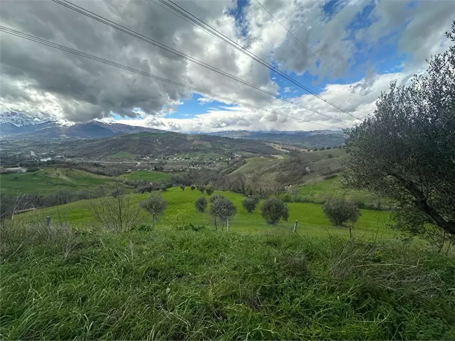 Immagine 8 di Villa in vendita  17 a Basciano